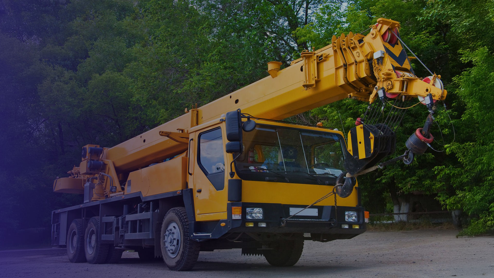 Yüksek Standart,<br> Güçlü Hizmet